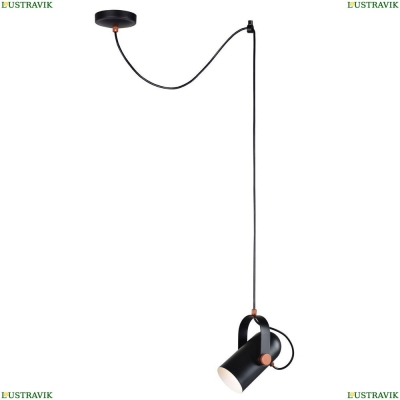 Подвесной светильник Favourite Ampolla Black 2007-1P - купить в интернет-магазине ЛЮСТРАВИК