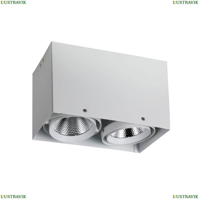 Потолочный светодиодный светильник Favourite Flashled White 1986-2U - купить в интернет-магазине ЛЮСТРАВИК