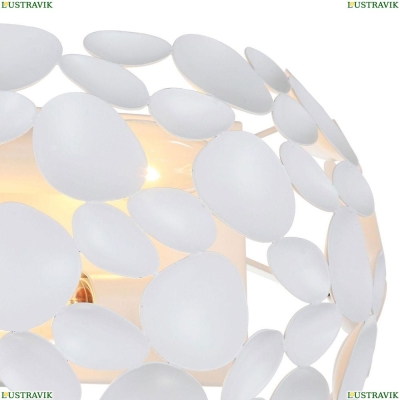 Настенный светильник Favourite Gittus 2011-2W - купить в интернет-магазине ЛЮСТРАВИК