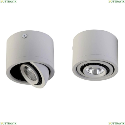 Потолочный светодиодный светильник Favourite Reflector White 1774-1C - купить в интернет-магазине ЛЮСТРАВИК