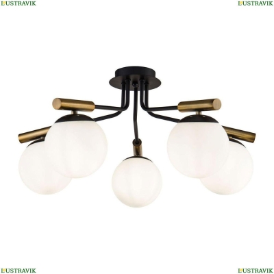 Люстра FR5011CL-05B ★Freya, 5 x 40Вт☀, Черный► — Купить▼