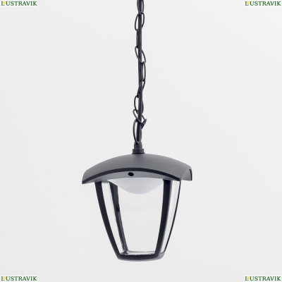 Уличный подвесной светодиодный светильник Citilux CLU04 CLU04P - купить в интернет-магазине ЛЮСТРАВИК