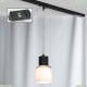 Трековый светильник однофазный Lussole Track Lights LSC-2506-01-TAB - купить в интернет-магазине ЛЮСТРАВИК