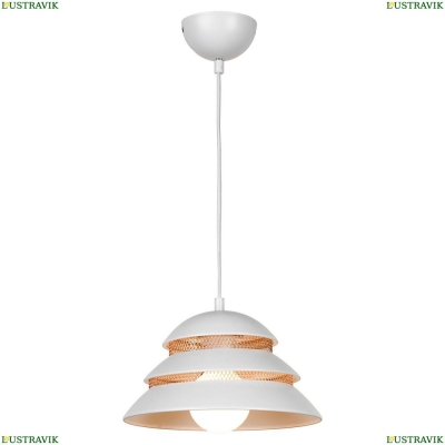Подвесной светильник Lussole LOFT Beijing LSP-8130 - купить в интернет-магазине ЛЮСТРАВИК
