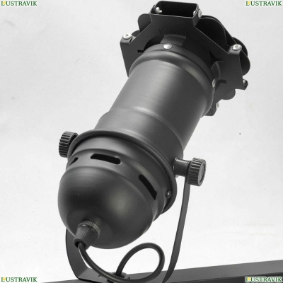 Спот Lussole LOFT LSP-8076 GRLSP-8076 - купить в интернет-магазине ЛЮСТРАВИК