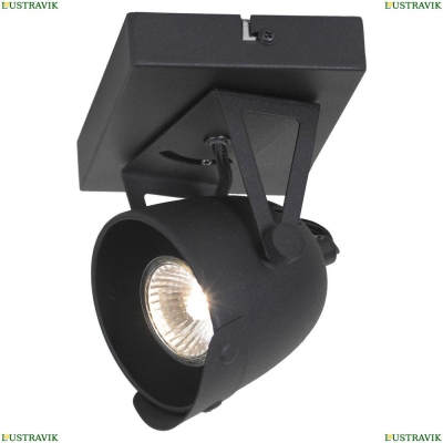 Спот Lussole LOFT LSP-9505 GRLSP-9505 - купить в интернет-магазине ЛЮСТРАВИК
