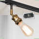 Трековый светильник однофазный Lussole LOFT Track Lights LSP-9320-TAB - купить в интернет-магазине ЛЮСТРАВИК