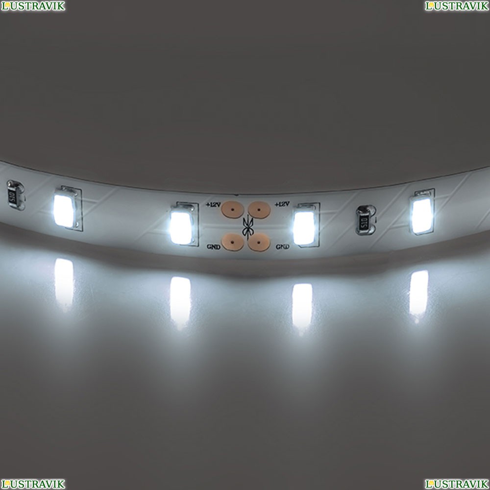Лента LED 400076 ★Lightstar, 60 / на метр☀, Белый► — Купить▼