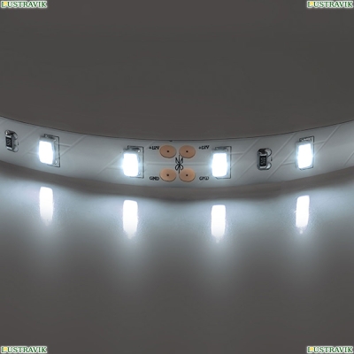 Лента LED 400076 ★Lightstar, 60 / на метр☀, Белый► — Купить▼