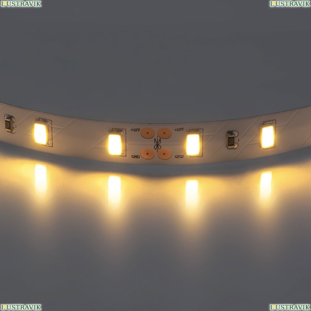 Лента LED 400072 ★Lightstar, 60 / на метр☀, Белый► — Купить▼