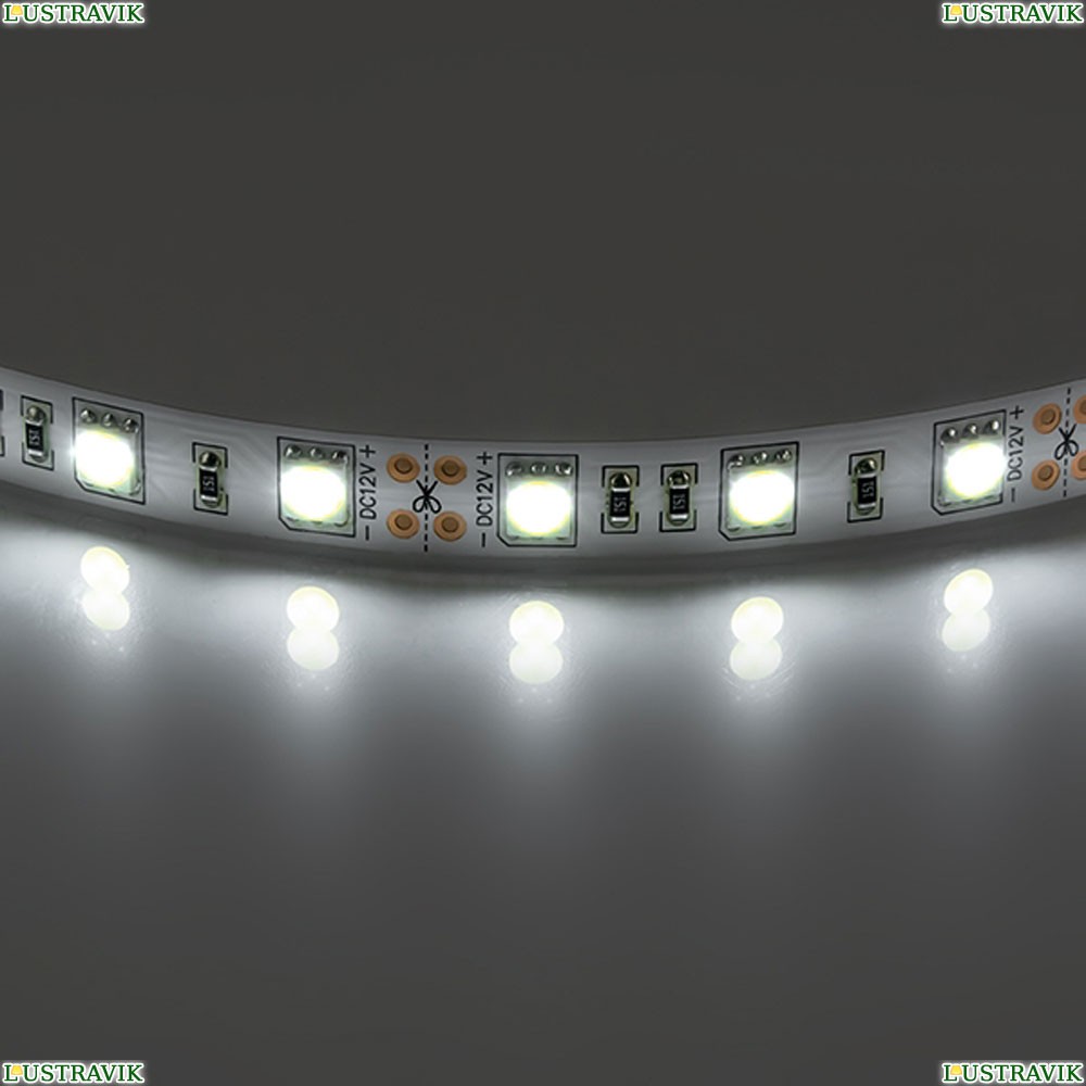 Лента LED 400054 ★Lightstar, 60 / на метр☀, Белый► — Купить▼