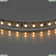 Лента LED 400012 ★Lightstar, 120 / на метр☀► — Купить▼