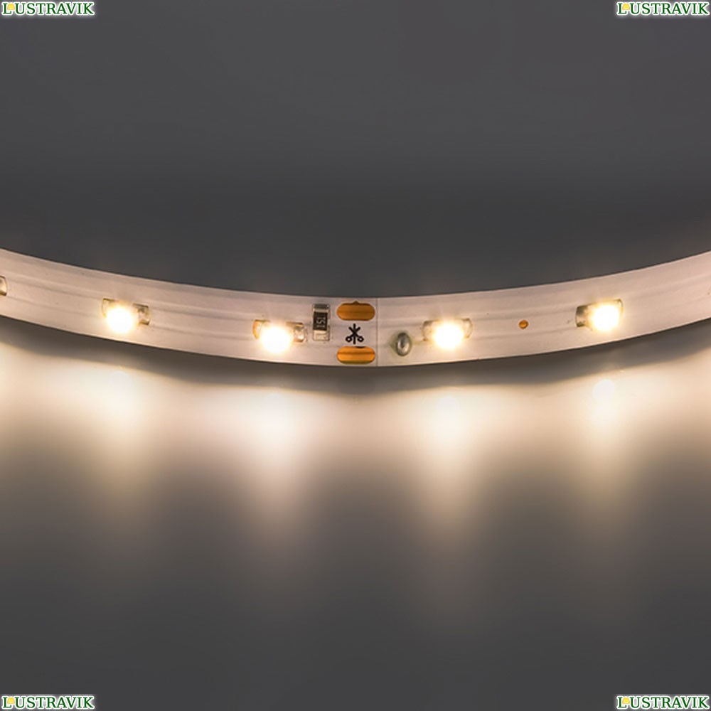 Лента LED 400002 ★Lightstar, 60 / на метр☀, Белый► — Купить▼