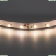 Лента LED 400002 ★Lightstar, 60 / на метр☀, Белый► — Купить▼