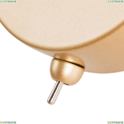 Бра A4103AP-1GO ★Arte Lamp, Золото► — Купить▼