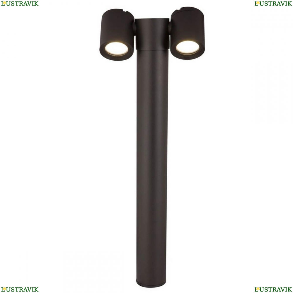 Светильник O010FL-02B ★Maytoni, 2 x 50Вт☀, Черный► — Купить▼