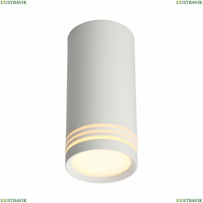 Светильник накладной точечный OML-100809-01 Omnilux Olona — купить в интернет-магазине ЛЮСТРАВИК