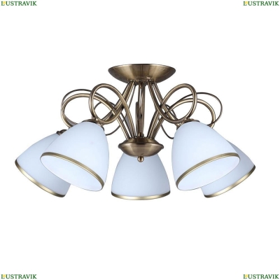 Потолочная люстра OML-25307-05 Omnilux Alimini — купить в интернет-магазине ЛЮСТРАВИК