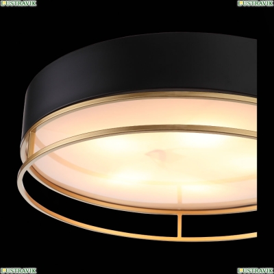 Светильник потолочный Chodo SL1127.432.05 St Luce Chodo — купить в интернет-магазине ЛЮСТРАВИК