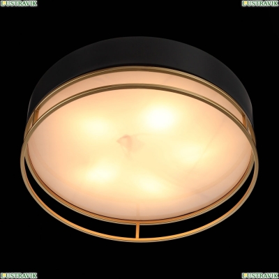 Светильник потолочный Chodo SL1127.432.05 St Luce Chodo — купить в интернет-магазине ЛЮСТРАВИК