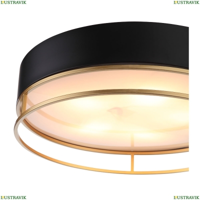 Светильник потолочный Chodo SL1127.432.05 St Luce Chodo — купить в интернет-магазине ЛЮСТРАВИК
