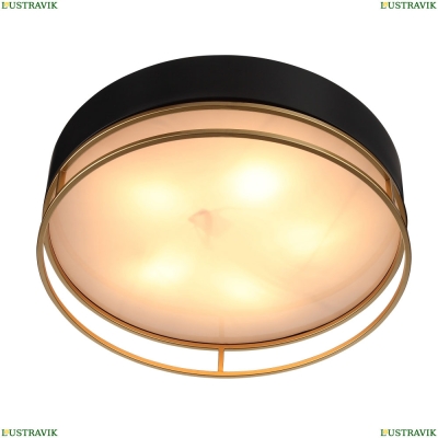 Светильник потолочный Chodo SL1127.432.05 St Luce Chodo — купить в интернет-магазине ЛЮСТРАВИК