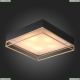Светильник потолочный Chodo SL1127.422.05 St Luce Chodo — купить в интернет-магазине ЛЮСТРАВИК