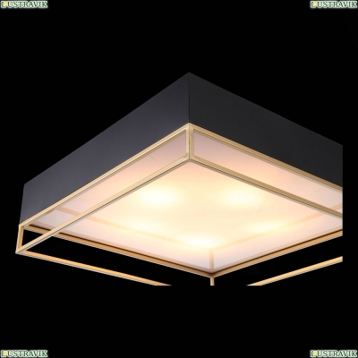 Светильник потолочный Chodo SL1127.422.05 St Luce Chodo — купить в интернет-магазине ЛЮСТРАВИК