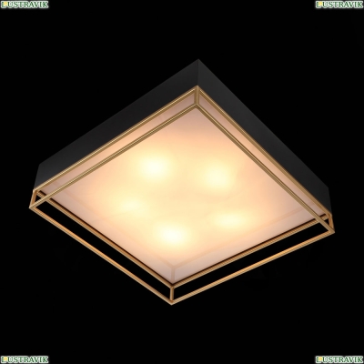 Светильник потолочный Chodo SL1127.422.05 St Luce Chodo — купить в интернет-магазине ЛЮСТРАВИК