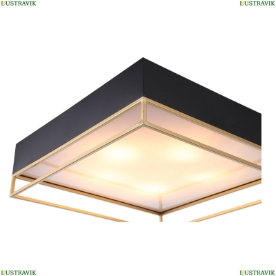 Светильник потолочный Chodo SL1127.422.05 St Luce Chodo — купить в интернет-магазине ЛЮСТРАВИК