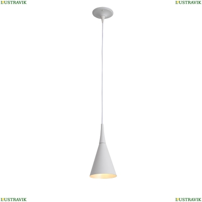 Подвесной светильник SL874.503.01 St Luce Gocce — купить в интернет-магазине ЛЮСТРАВИК