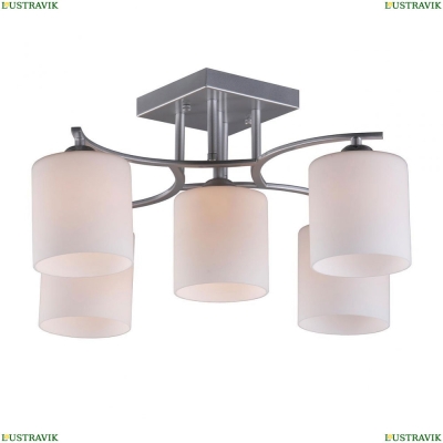 Потолочная люстра OML-55307-05 Omnilux Pisticci — купить в интернет-магазине ЛЮСТРАВИК