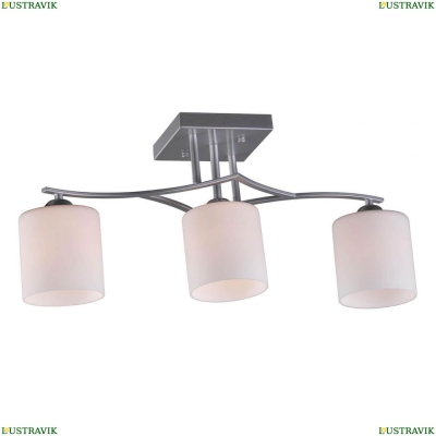 Потолочная люстра OML-55307-03 Omnilux Pisticci — купить в интернет-магазине ЛЮСТРАВИК