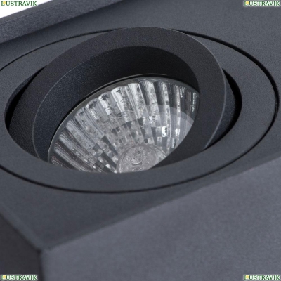 Светильник A5544PL-2BK ★Arte Lamp, Черный► — Купить▼