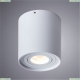 Светильник A1460PL-1WH ★Arte Lamp, Белый► — Купить▼