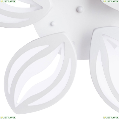 Люстра A1098PL-5WH ★Arte Lamp, Белый► — Купить▼