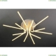 Люстра A6207PL-12WH ★Arte Lamp, Белый► — Купить▼