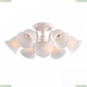 Люстра A6306PL-8WG ★Arte Lamp, Белый с патиной► — Купить▼