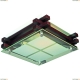 OML-40507-02 Светильник настенно-потолочный Omnilux 405 - купить в интернет-магазине Люстравик
