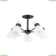 Люстра 4534/5C ★Lumion, 5 x 60Вт☀, Черный► — Купить▼