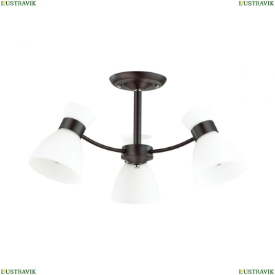 Люстра 4534/3C ★Lumion, 3 x 60Вт☀, Черный► — Купить▼
