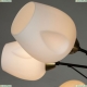 Люстра A2706PL-8CK ★Arte Lamp, Черный► — Купить▼