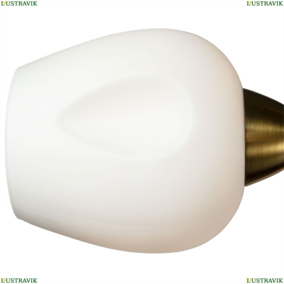 Люстра A2706PL-5CK ★Arte Lamp, Черный► — Купить▼