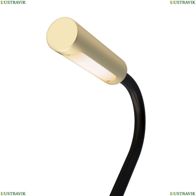 Спот C035WL-L3MG3K ★Maytoni, 1 x 3Вт☀, Золото► — Купить▼