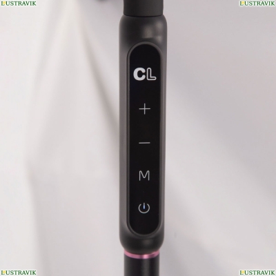 Торшер CL804021 ★ Citilux Марк — купить в интернет магазине ЛЮСТРАВИК ☀