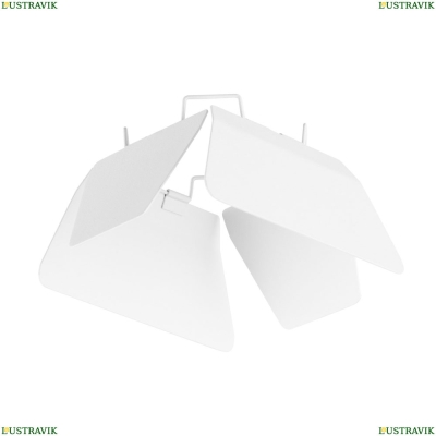 Светильник 202436 ★Lightstar► — Купить▼