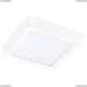 Светильник 216802 ★Lightstar, 1 x 20Вт☀, Белый► — Купить▼