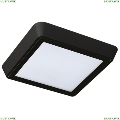 Светильник 216872 ★Lightstar, 1 x 20Вт☀, Черный► — Купить▼
