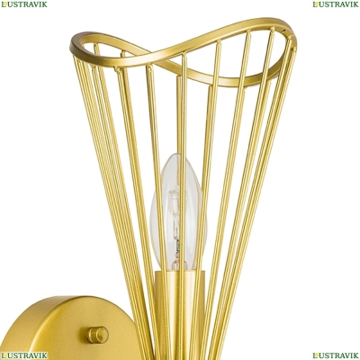 Бра 728623 ★Lightstar, 2 x 40Вт☀, Золото► — Купить▼