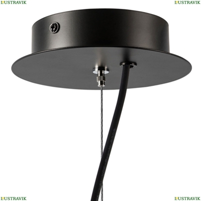 Люстра 733247 ★Lightstar, 24 x 40Вт☀, Черный► — Купить▼